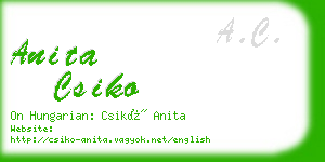 anita csiko business card